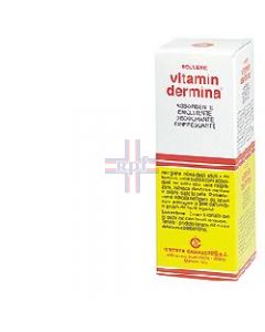 VITAMINDERMINA POLVERE 100 G