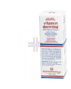 VITAMINDERMINA POLVERE PROT 100G