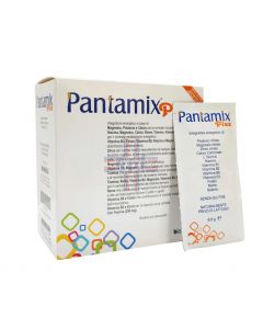 PANTAMIX PLUS BUSTINE